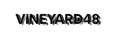 vineyard48wines.com – Cara Bijak Berjudi Online 2025